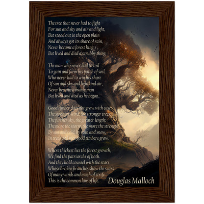 Poem "Good Timber" from Douglas Malloch : a high quality poster